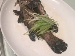 -東海海鲜酒家(中信广场店)
