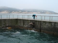 -养马岛旅游度假区