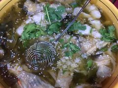 酸菜鱼-熊猫川菜馆 panda chine