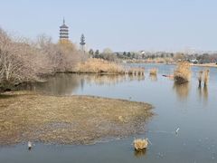 -高旻寺
