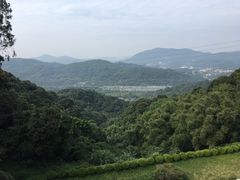 -广州市帽峰山景区