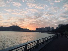 -野狸岛