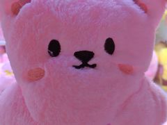 -可爱抓 COCO  GOTCHA(天津鹏欣水游城店)