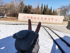 -沈阳奥体冰雪嘉年华