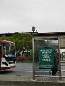 上海辰山植物园-"清明假期第一天来辰山植物园看樱花的,结果.