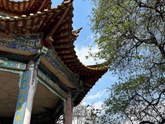 -昆明动物园