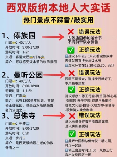 西双版纳本地人大实话❗️这么玩不踩雷💣