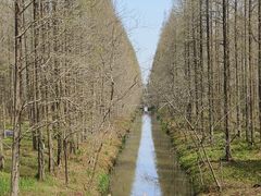 -黄海国家森林公园