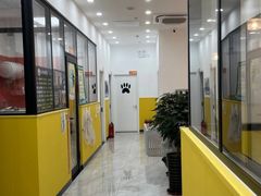 -瑞派·爱瑞可动物医院·口腔专科(广华新城分院)