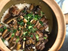 金牌黄鳝饭-红星光发煲仔饭(文海店)