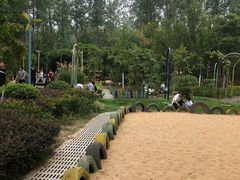 -合肥滨湖国家森林公园