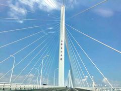 -上海崇明金茂凯悦酒店