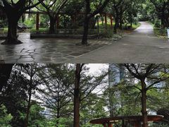 -燕晗山郊野公园