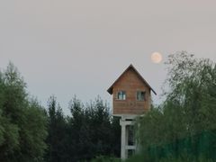 -东郊湿地公园