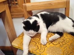 -龙华素斋(龙华路店)