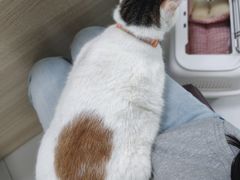 -嘉馨宠物医院·CT影像转诊·心脏科·犬猫全科诊疗中心(下沙大学城院区)