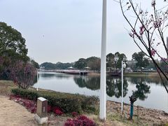-新江湾城公园