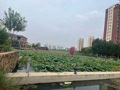 -天津东丽湖风景区