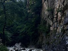 -青峰峡国家森林公园