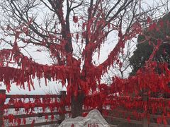 -秦始皇帝陵博物院-丽山园