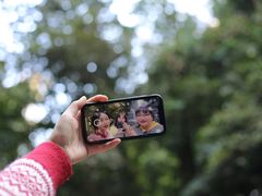 -莫里热带雨林景区
