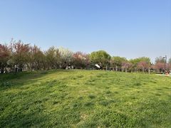 -洨河生态公园