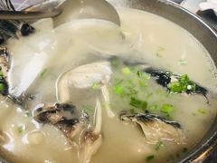 翁公鱼汤-漫渡庄绿岛花园•隐世庭园菜(滨湖店)