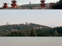 -原山国家森林公园