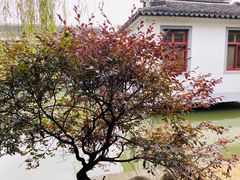 -渭塘酒家(生态园店)