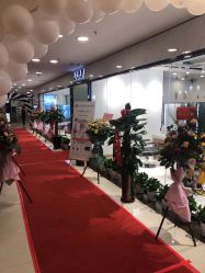 -华卫思理轻奢造型