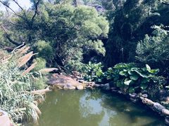 -厦门园林植物园-植物园滴水山房
