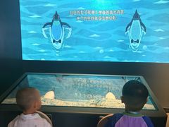 -厦门诚毅自然探索馆