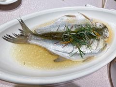 清蒸太湖白鱼-天福苑(崇宁路店)