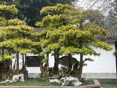 -棠湖公园