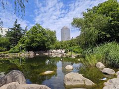 -新虹桥中心花园
