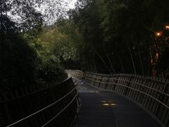 -福道