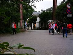 景点龙井村-龙井村