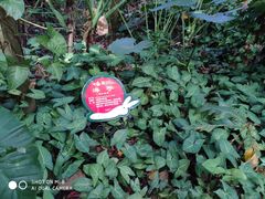 -呀诺达热带雨林