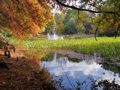 -上海共青森林公园