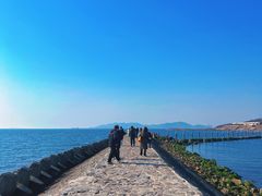 -青岛第二海水浴场