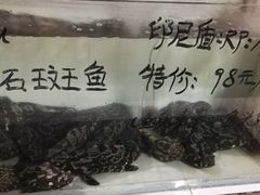 -海盗餐厅