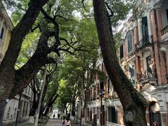 -广州白天鹅宾馆