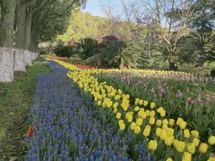 -上海鲜花港