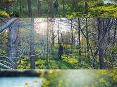 -溱湖国家湿地公园