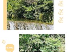 -黄山翡翠谷景区