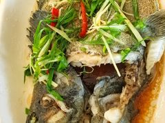 -众味海鲜大排档·活海鲜·潮汕味(南澳店)