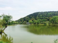 -龙寺生态园