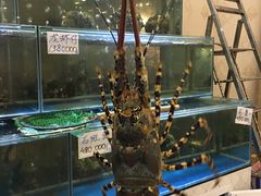 -顺峰渔港中国人的餐厅