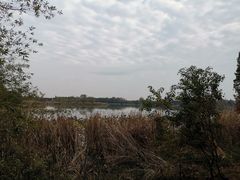 -东湖落雁景区