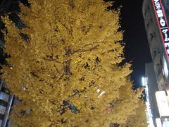 -秋叶原电器街